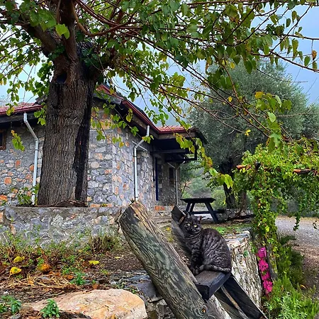 Togo Iztuzu Stonehouse-3 Boğazağzı