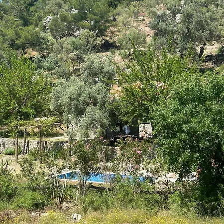 Togo Iztuzu Stonehouse-3 Alpesi faház *